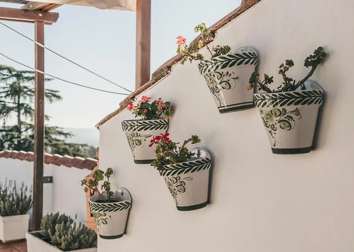 Отель Crisol Jardines De 4*